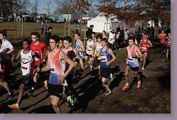 Begles 15.12.13 01 551 * 679 x 453 * (164KB)